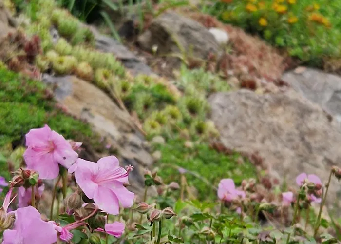 Relax Pod Javorem Appartamento *